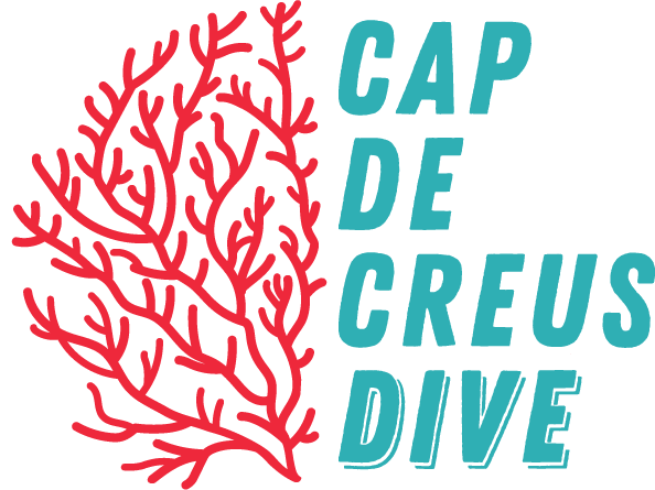 Cap de Creus Dive