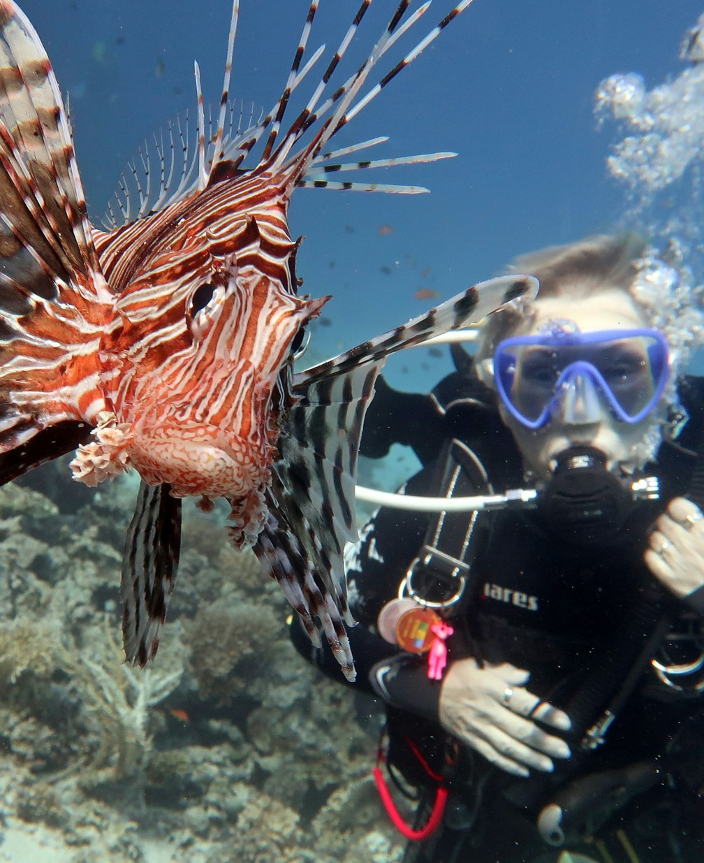 Curso open water diver